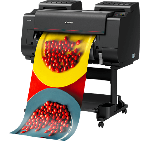 CANON IPF Pro